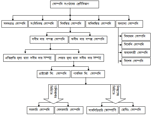 কোম্পানি সংগঠনের শ্রেণীবিভাগ