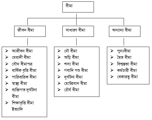 বীমার প্রকারভেদ